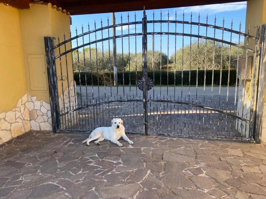 Villa Pedrosu Casa Linari Dış mekan fotoğraf