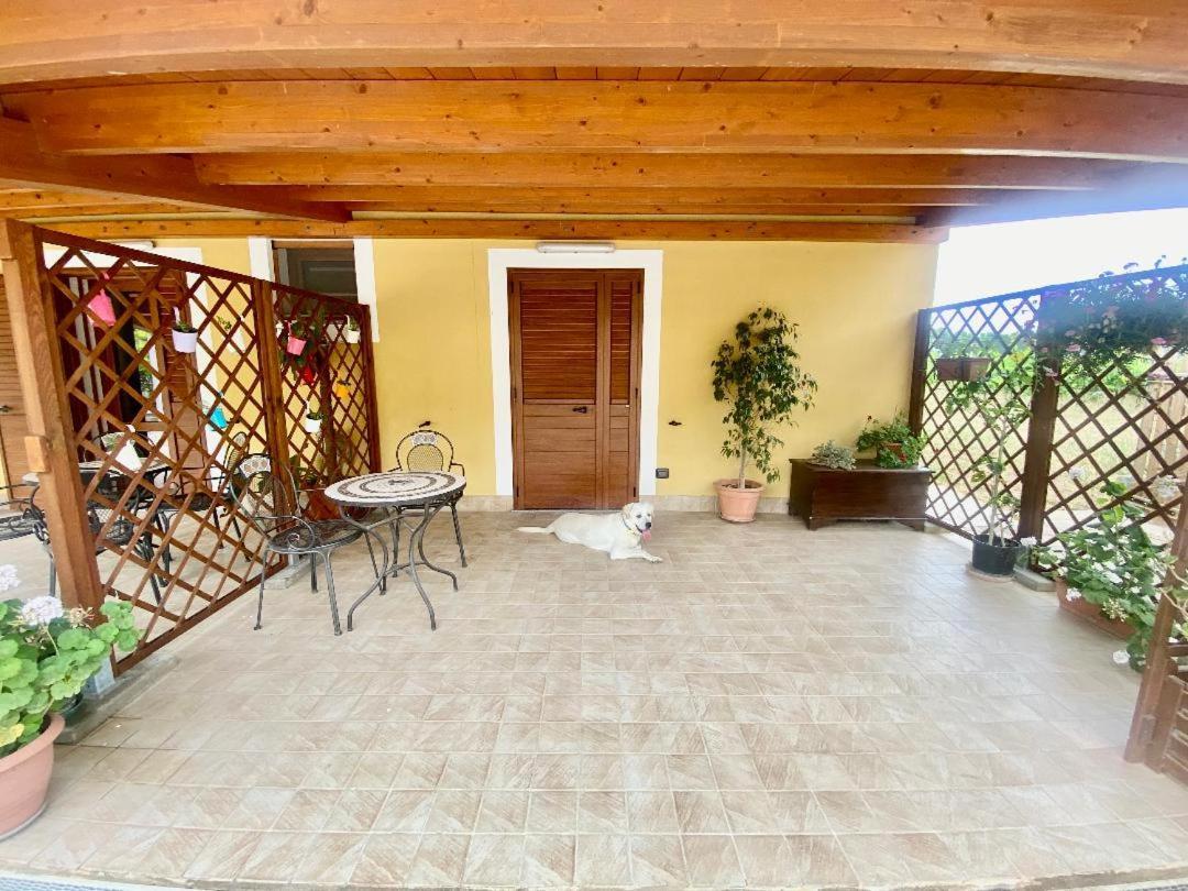Villa Pedrosu Casa Linari Dış mekan fotoğraf