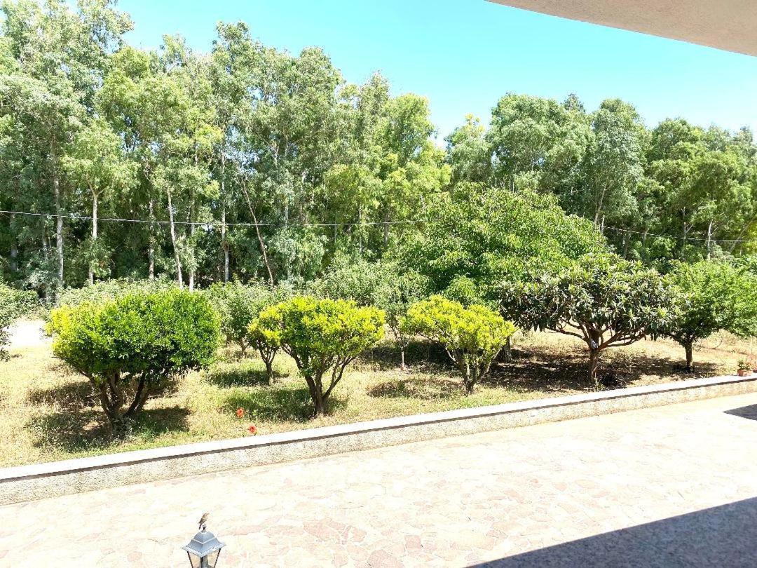 Villa Pedrosu Casa Linari Dış mekan fotoğraf